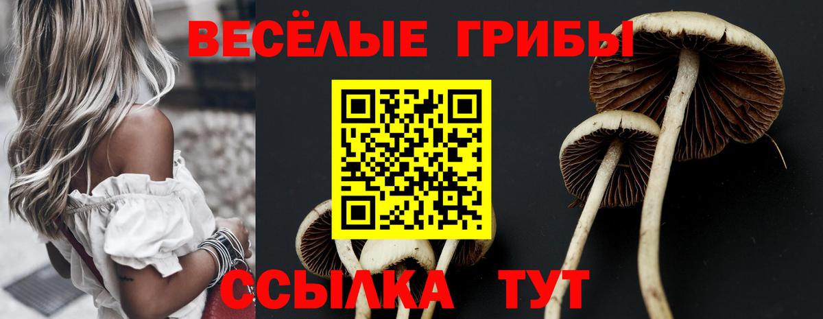 Псилоцибиновые грибы ЛСД  Вход с VPN  Балтийск 